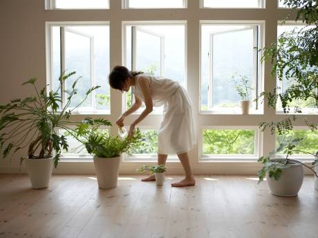 Geen tuin? In potten en bloembakken kun je toch tuinieren