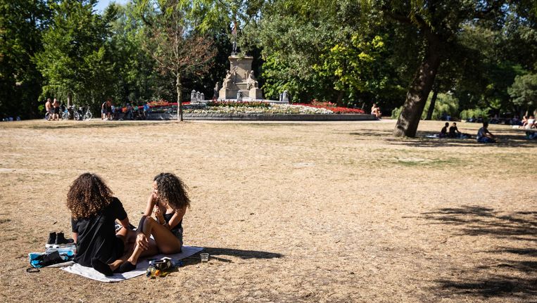 Verdroogd gras in het Vondelpark afgelopen zomer. Beeld Dingena Mol
