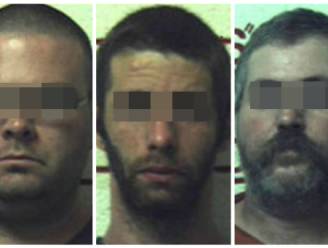 Drie mannen opgepakt die gedurende vijf jaar seks hadden met boerderijdieren