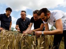 Hoe Tomasu Sojasaus uit Rotterdam de wereld verovert en topkoks in vervoering brengt