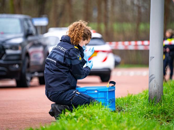 38-jarige man aangehouden na schietpartij in Hoogvliet