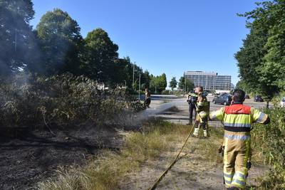 Brandweer druk door droogte: alarmfase twee in natuurgebieden