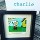 VTM-nieuwsanker Elke Pattyn verwelkomt Charlie