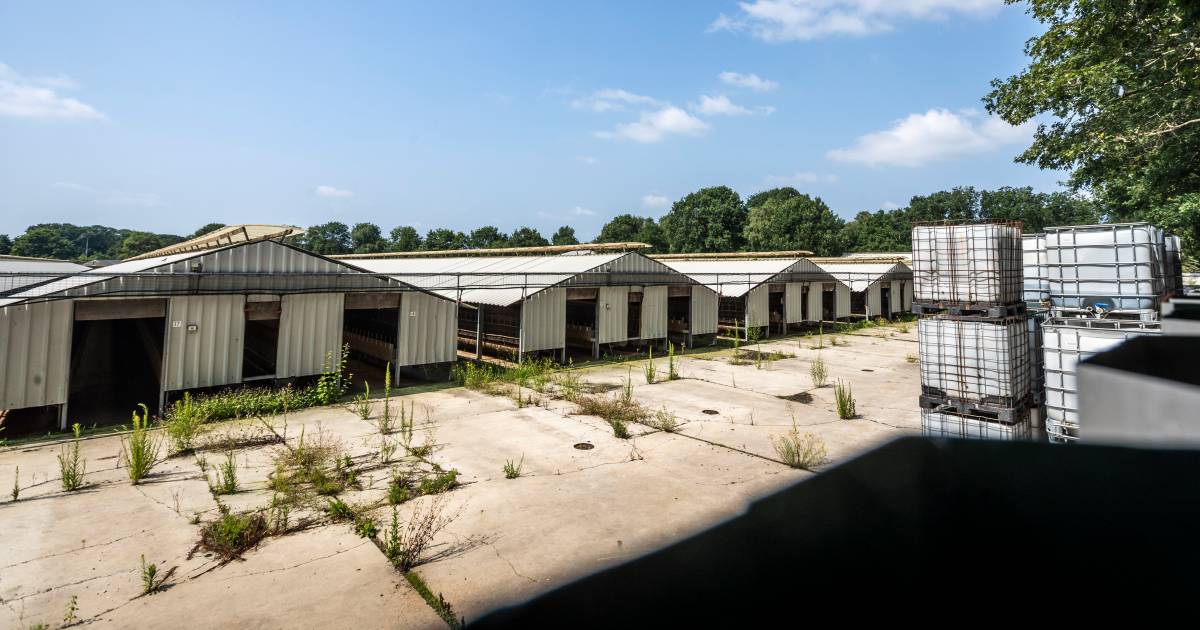 Omwonenden toekomstige woningen arbeidsmigranten Vlierden: ‘zorgen over verkeersveiligheid’