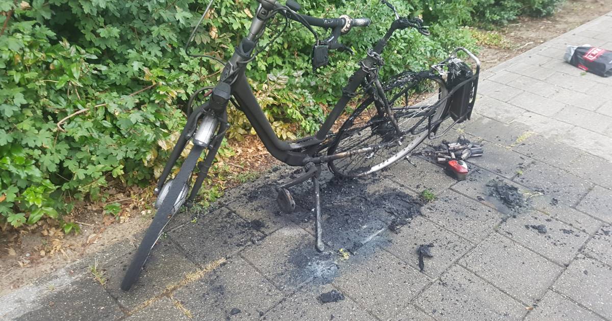 Verhoog jezelf spel Mier Waarom vliegt een fietsaccu in brand? | Woerden | AD.nl