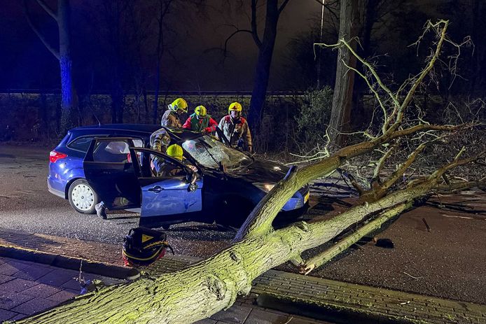 Een boom is op een rijdende auto gevallen op de Rozenlaan in Maassluis. De stormen Dudley en Eunice trekken deze dagen over Nederland