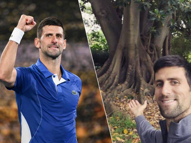 KIJK. Dankt Novak Djokovic zijn succes op Australian Open aan... een boom? “Heb er een speciale relatie mee”