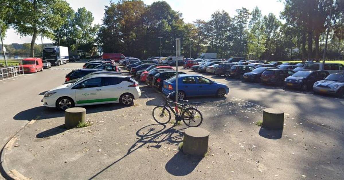 Einde aan gratis parkeerplekken bij Kralingse Plas ‘Invoeren betaald parkeren is effectief