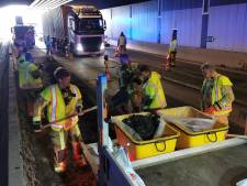 Hinder op Antwerpse Ring door lading slib in Beverentunnel: onder meer half uur file vanaf Knooppunt Beveren