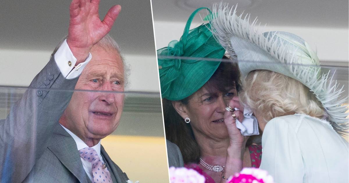 nel quadro.  Lacrime per King Charles e Camilla dopo la loro prima vittoria al Royal Ascot |  Proprietà