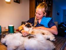 Emma (29) crosst door de Hoeksche Waard om hondennagels te knippen en katten te trimmen