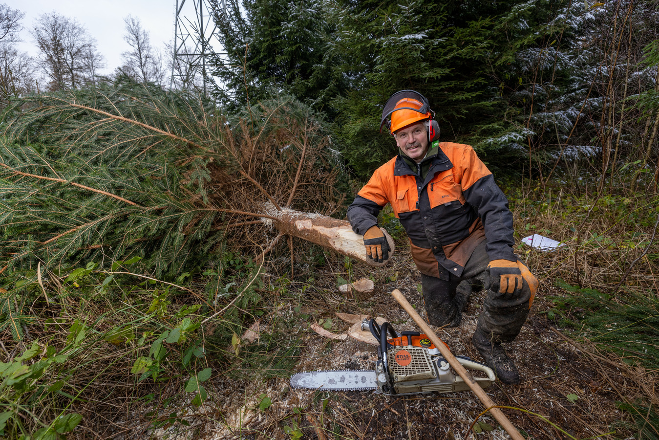 Bekendste kerstboom van Nederland is van boswachter Harco (maar hij