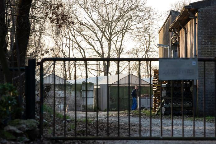 Rios Mink aan de Oude Baan in Rosmalen