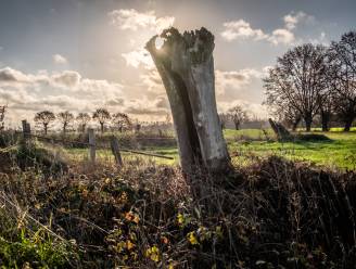 Overwegend droge zondag met enkele opklaringen