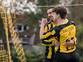 Theole doet wat het doen moet tegen DWS