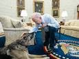 President Joe Biden in zijn Oval Office aait Champ. (archieffoto 9 februari)