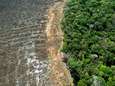 Ontbossing Braziliaans Amazonegebied op hoogste niveau sinds 2008: drie voetbalvelden per minuut gekapt