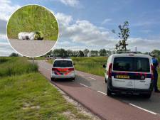 Politie tast nog in het duister over wat verdacht pakketje in Zutphen precies is: 'Ziet er niet standaard uit’