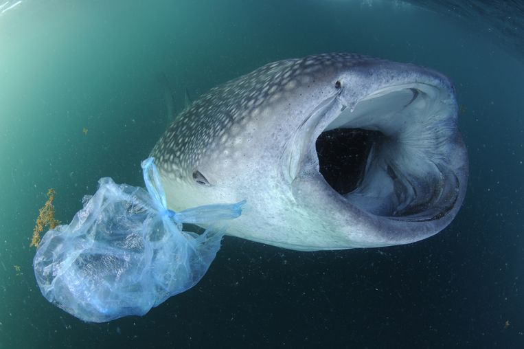 Straks meer plastic dan vis in zeeën – Klopt dit wel? | De Volkskrant