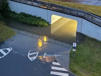Hevige regen veroorzaakt wateroverlast in Limburg, tien kelders ondergelopen in Lanaken: “Regenval brak records”