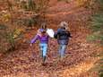 Vijf tips van de boswachter voor de mooiste herfstwandelingen in de regio Utrecht