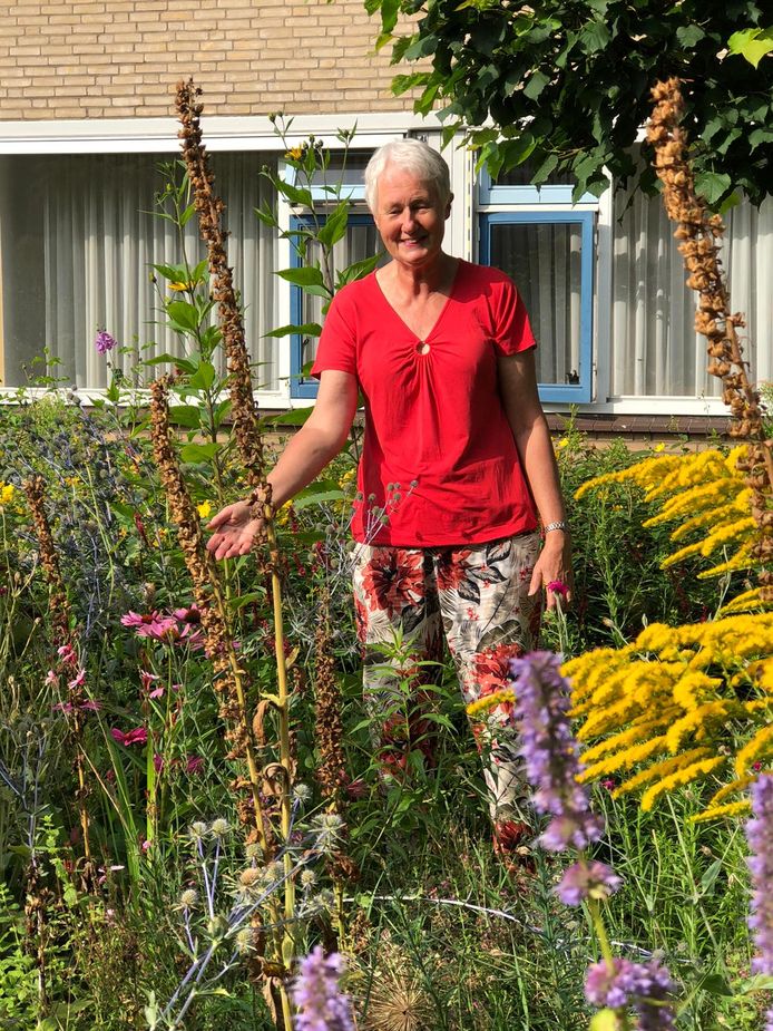 Bewoners genieten dagelijks van de tuin, merkt Lily Weerdesteyn.