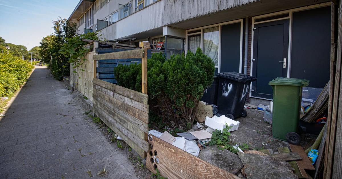 Duizenden woningen in achterstandswijken Lelystad krijgen opknapbeurt: ‘Niemand nam verantwoordelijk