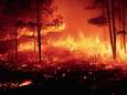 “Al twee keer de oppervlakte van België ging in vlammen op”: Canada beleeft ergste brandseizoen ooit