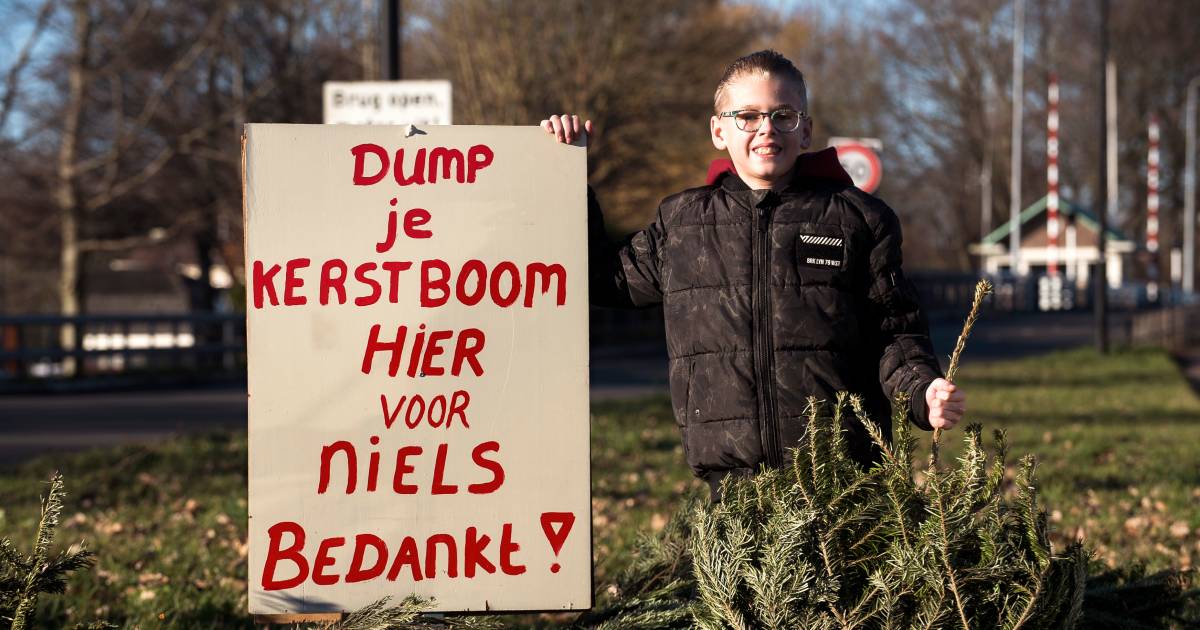 Kerstbomen inzamelen is extra zakcentje voor de 10-jarige Niels uit Amstelhoek