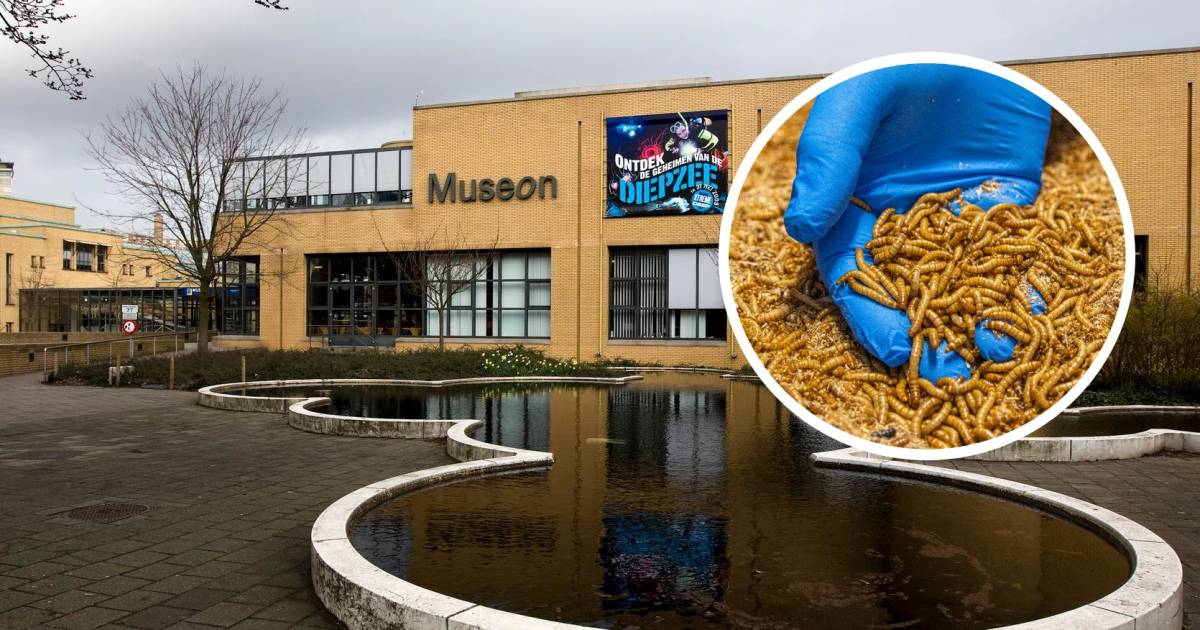 Lediga jobb  hitta och sök jobb  Lernia
