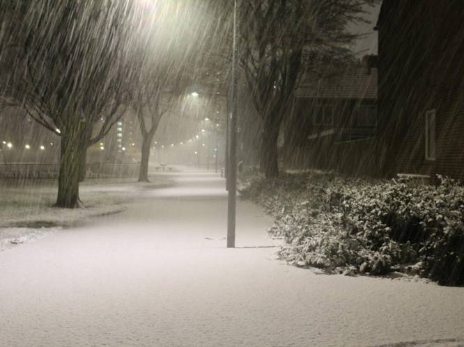 Veel overlast door winterse neerslag: sneeuwpak tot twaalf centimeter