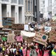 3.900 klimaatbetogers in Louvain-la-Neuve, scholieren trotseren regen in Antwerpen en Mechelen