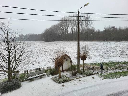 De eerste sneeuw viel al in Limburg vanmorgen
