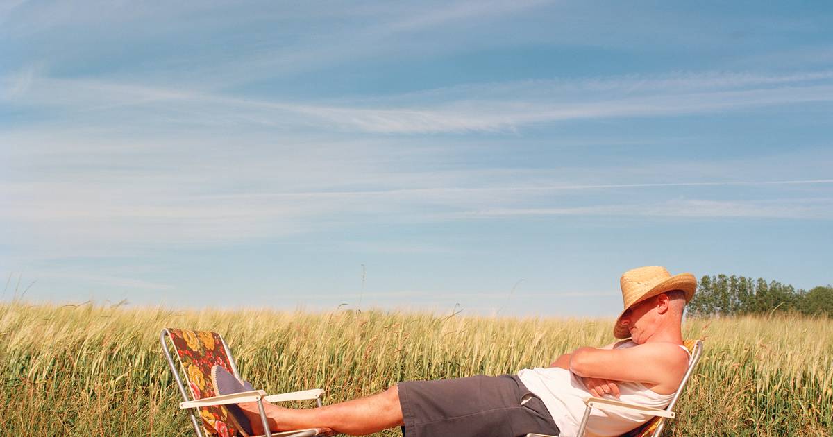 New research shows that a half-hour daily nap can prevent brain aging