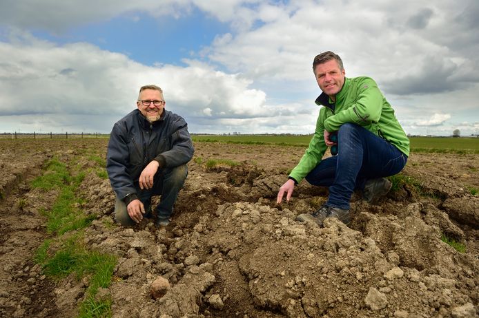 Johan van der Haven (rechts) en Chris van der Sterre woelen met hun handen de grond om van de ingezaaide ‘patrijzenlandjes’.