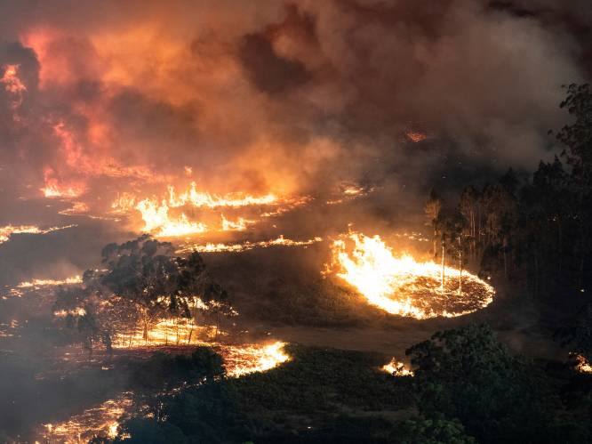 Australische bosbranden dreigen nu ook vernietigend onweer met gevaarlijke vuurtornado’s op te wekken