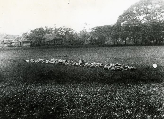 Een groot aantal lijken op de alun-alun (het centrale gemeenschappelijke grasveld) van Kampong Barroe.