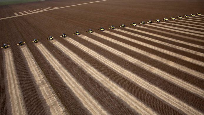 de sojaoogst op een reusachtige plantage in Brazilië