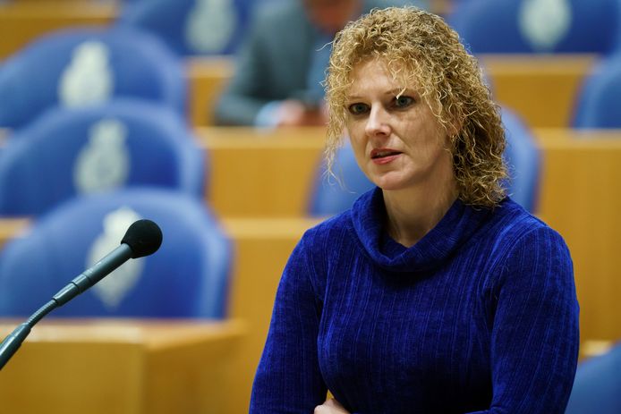 Inge van Dijk (CDA) wil 10 miljoen extra voor lokale politieke partijen.