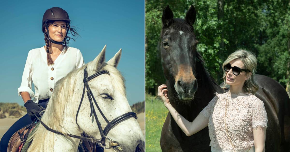 The Truth About Horse Girls Debunking the Stereotypes World Today News