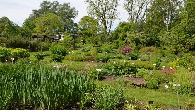 100 jaar oude plantentuin in Oudergem opent voor het publiek
