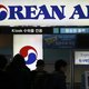 Vlucht Zuid-Korea 13 uur vertraagd door vogel
