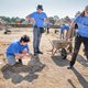 Amateurarcheologen helpen de profs: 'Als ik ergens een kuil zie, ga ik graven'