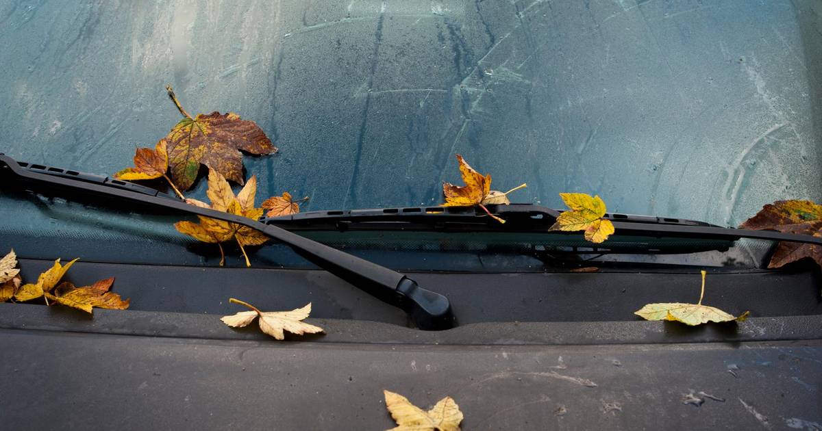 Windows fogged up by melting snow? Eight tips to keep condensation out