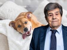 Ik vind het niet fijn dat de hond in bed slaapt