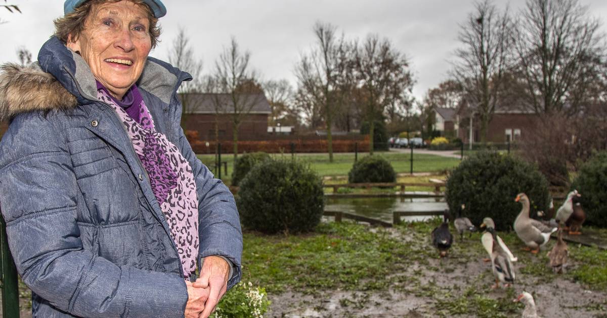 Langzaam verpietert dierenweide Westenholte in Zwolle