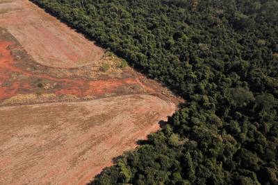La déforestation de l'Amazonie a bondi de 150% en décembre, dernier mois de Bolsonaro