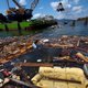 Drijvende vuilnisbelt Fukushima nadert Amerikaanse kust