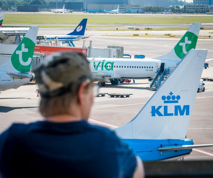 Vliegtuigen van KLM en Transavia op de pier van luchthaven Schiphol.