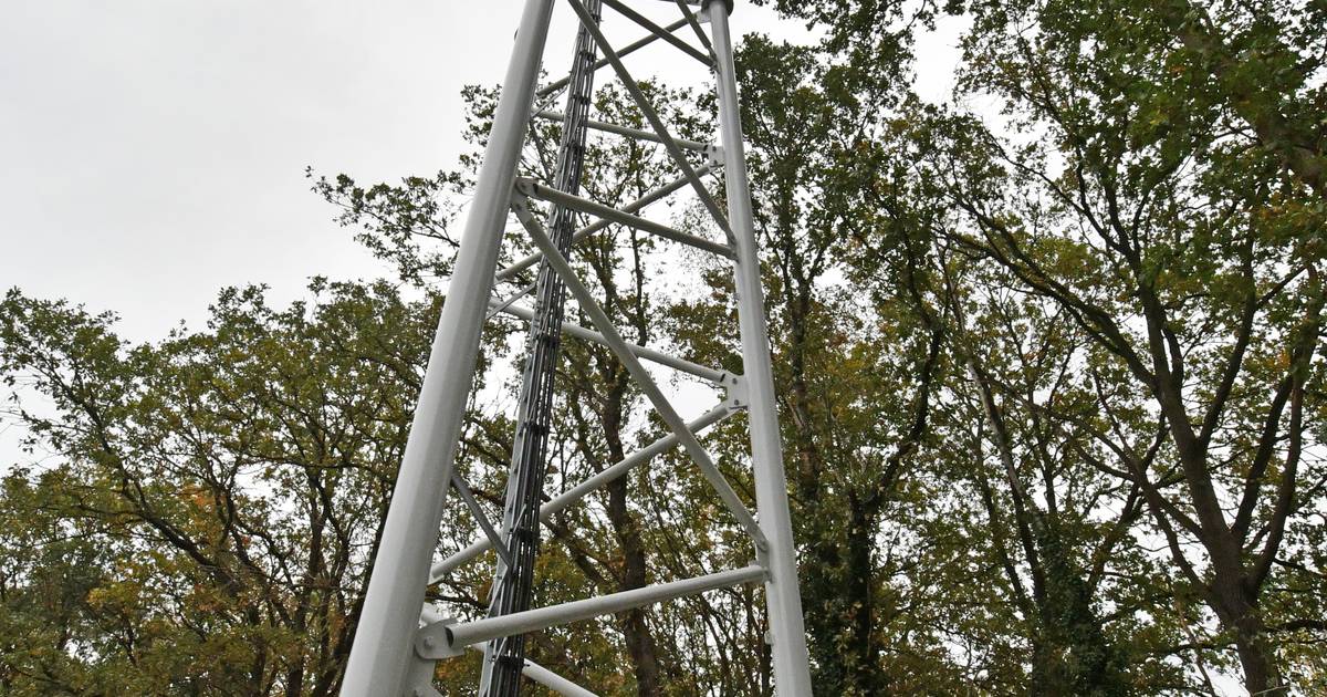 Witharen krijgt gewenste zendmast: ‘van levensbelang’ | Ommen